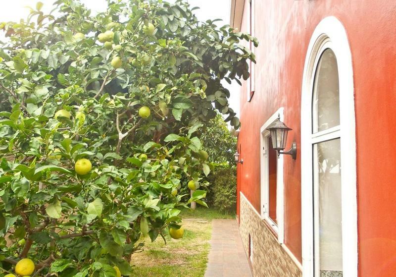 Casa Buganvilla Los Realejos Kültér fotó